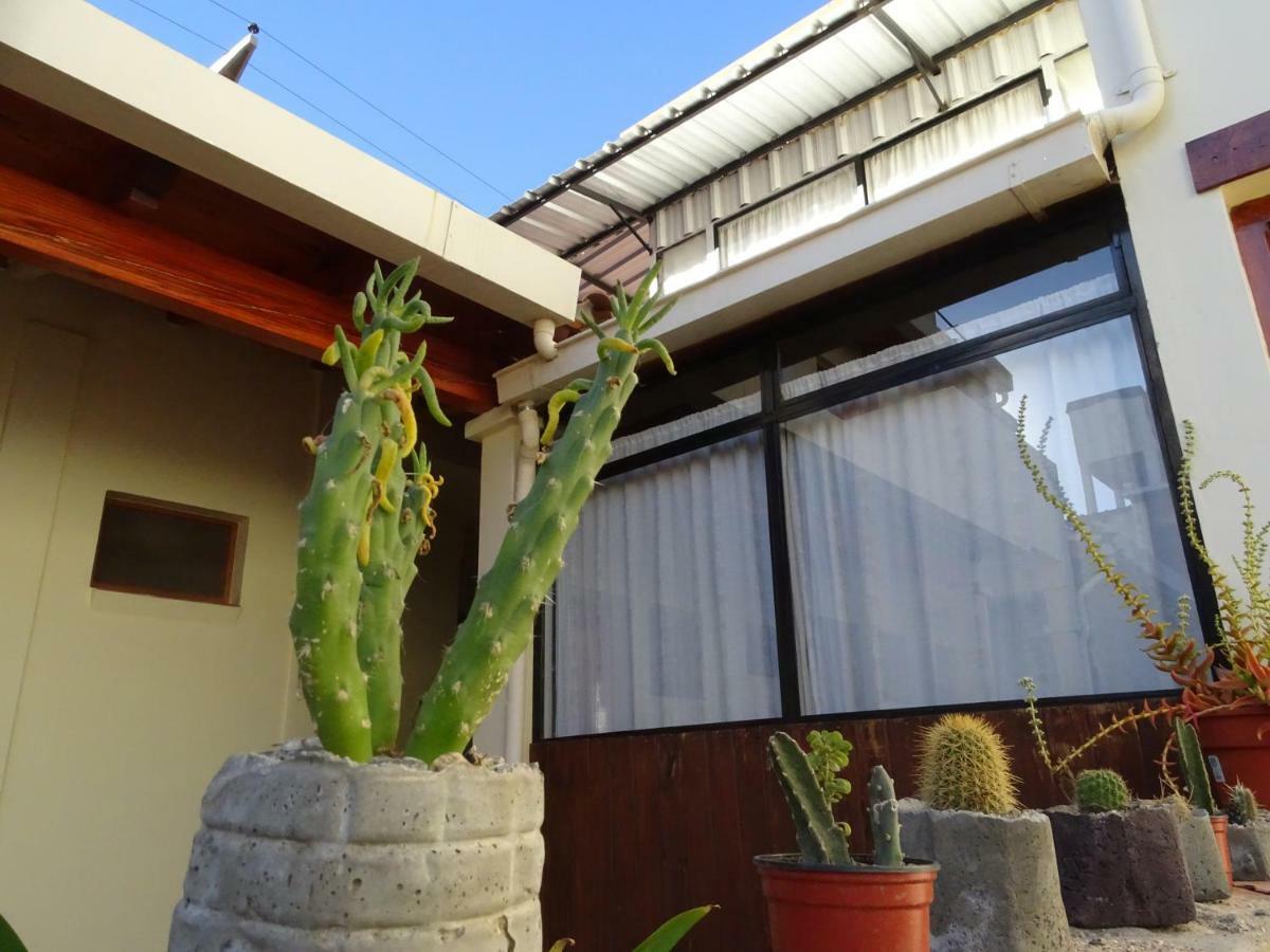 Casa Cactus Cafayate Exterior photo